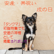 安産　帯祝い　戌の日